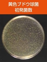 antibacterial01