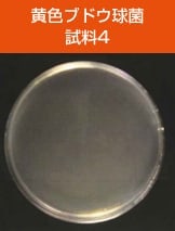 antibacterial03