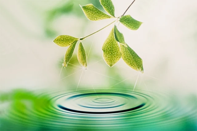 image_column009_04